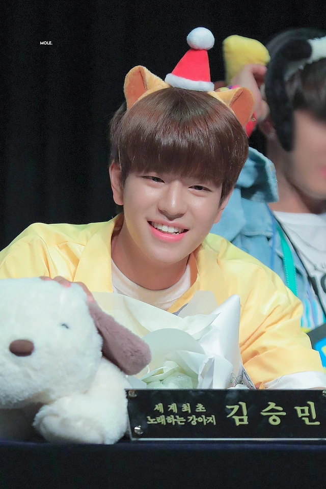 Seungmin