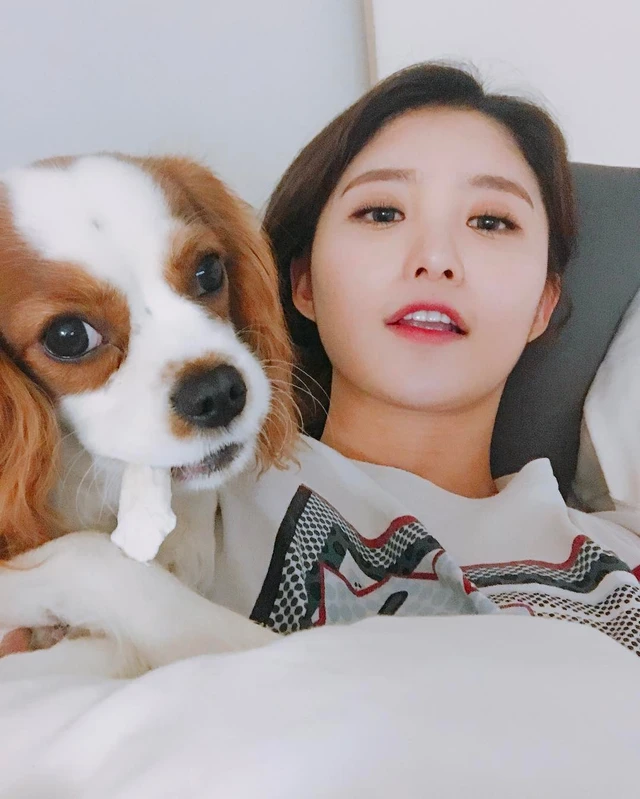 Jeonghwa