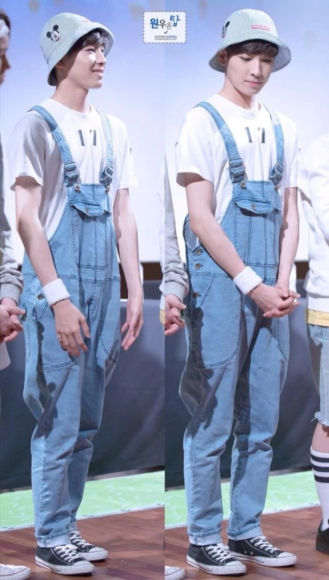 Wonwoo