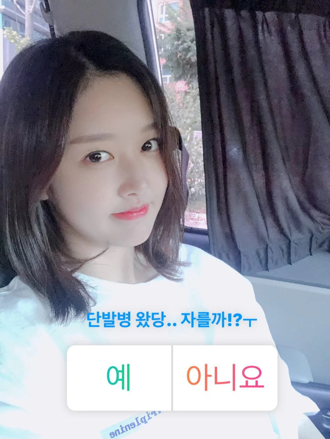 Mimi