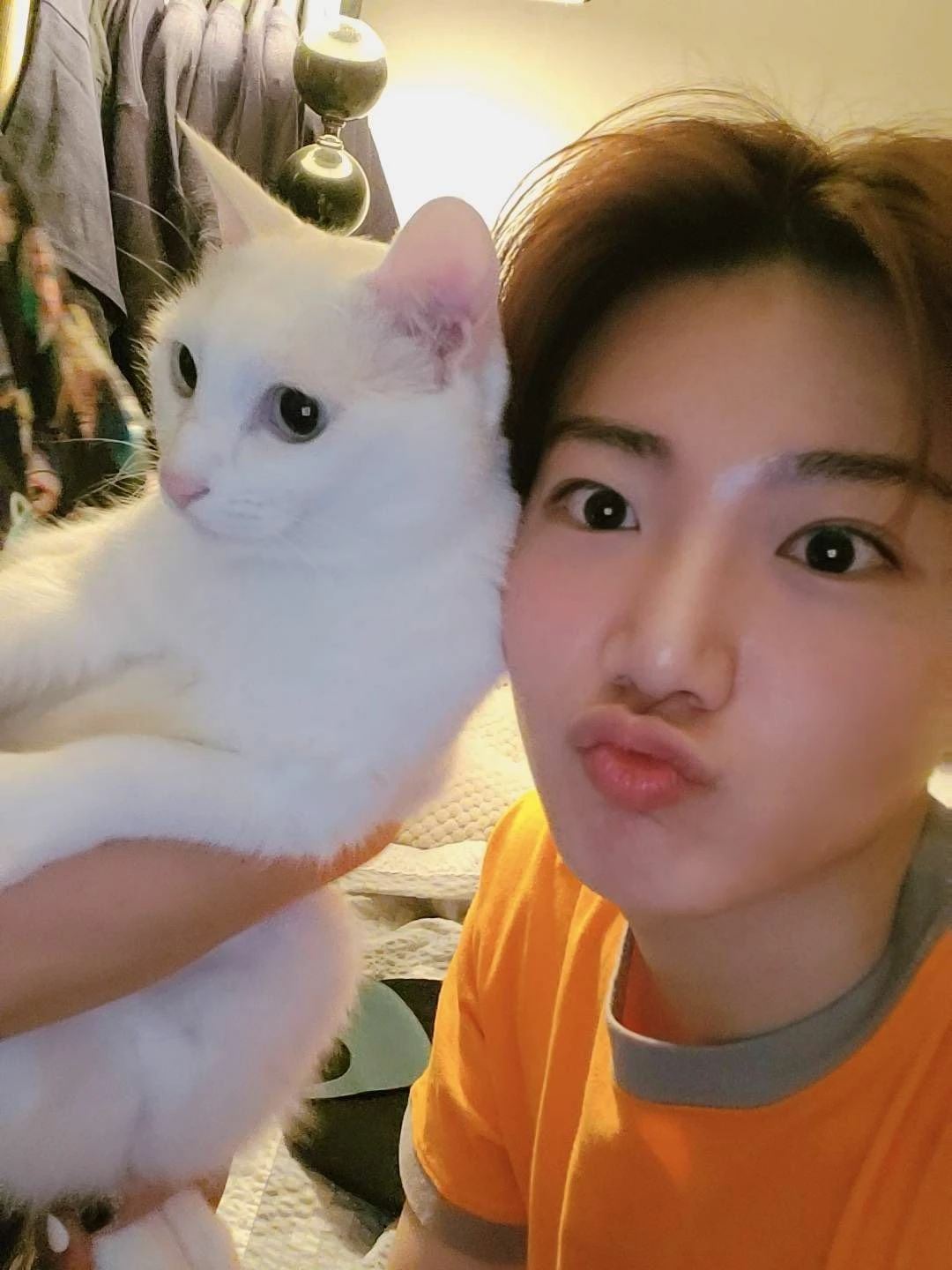Junkyu