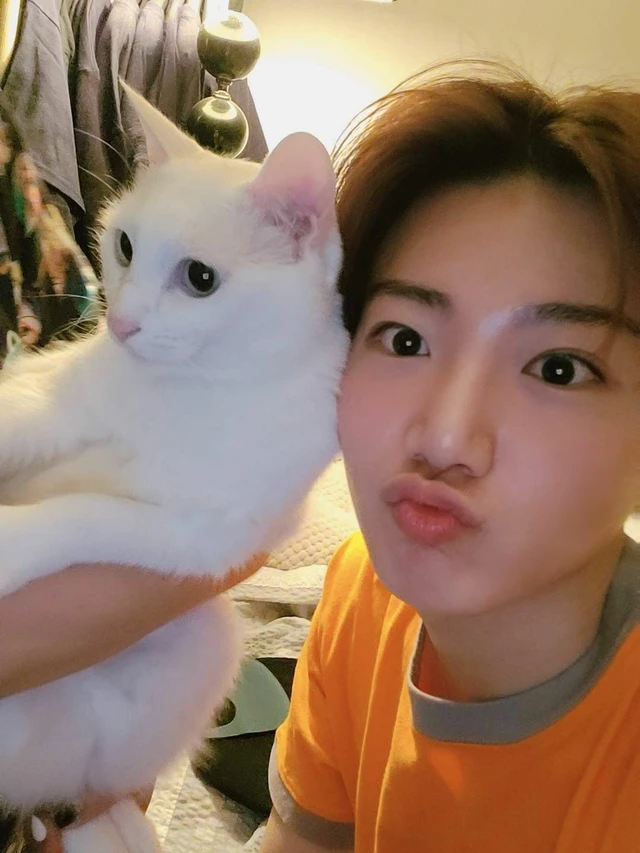 Junkyu