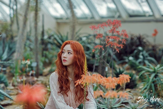 Sojung