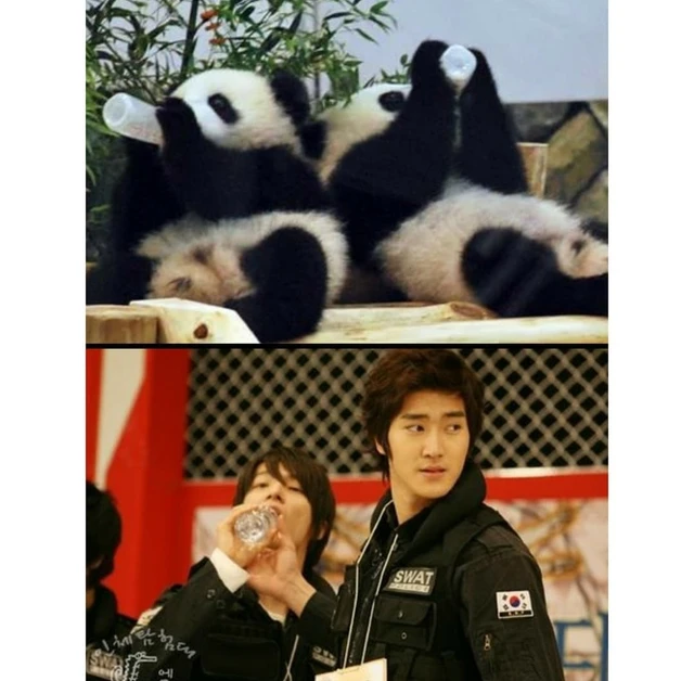 Siwon