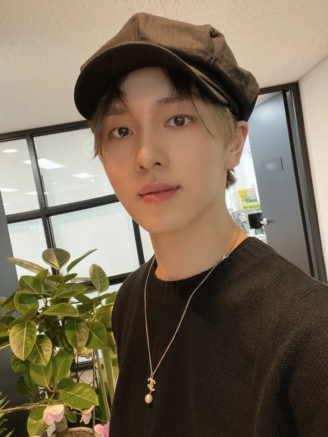 Kino