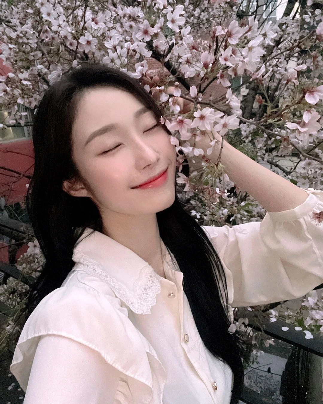 Chaesol