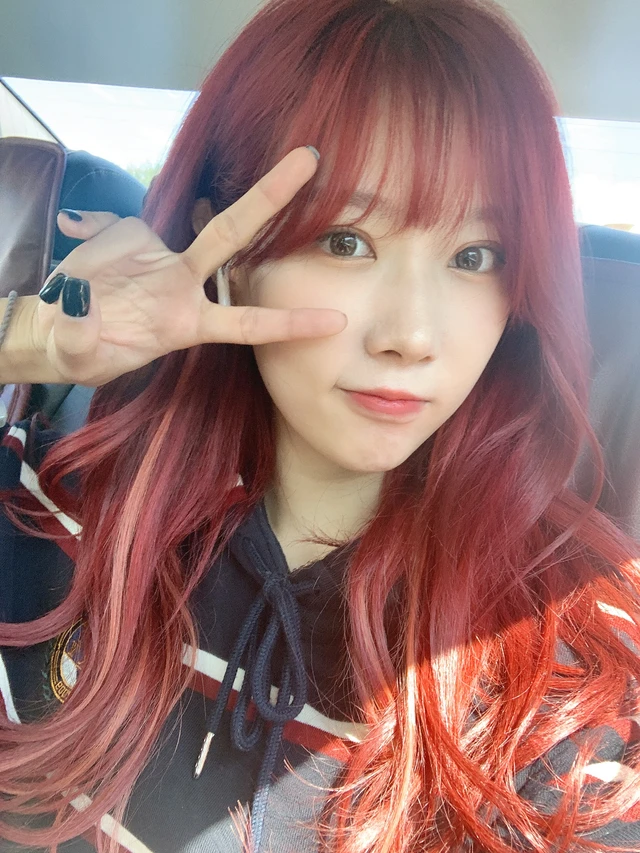 Handong