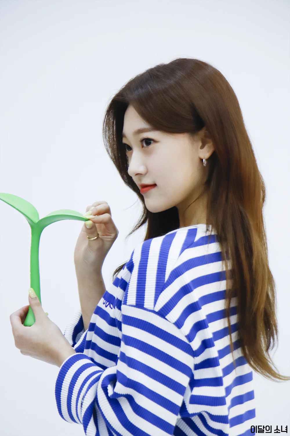 Choerry