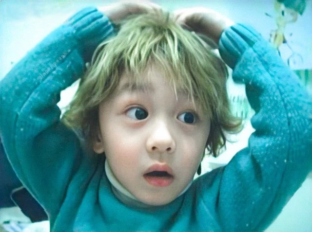 Chani