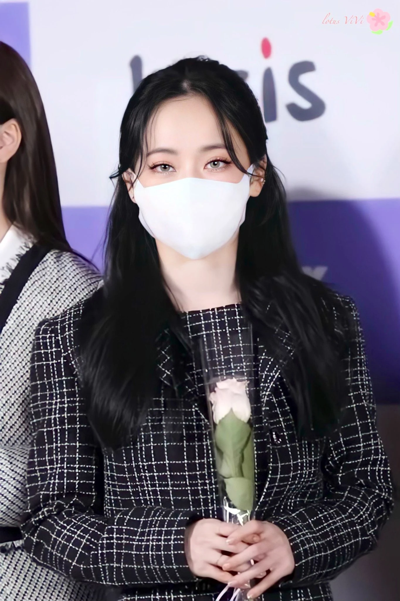 Vivi