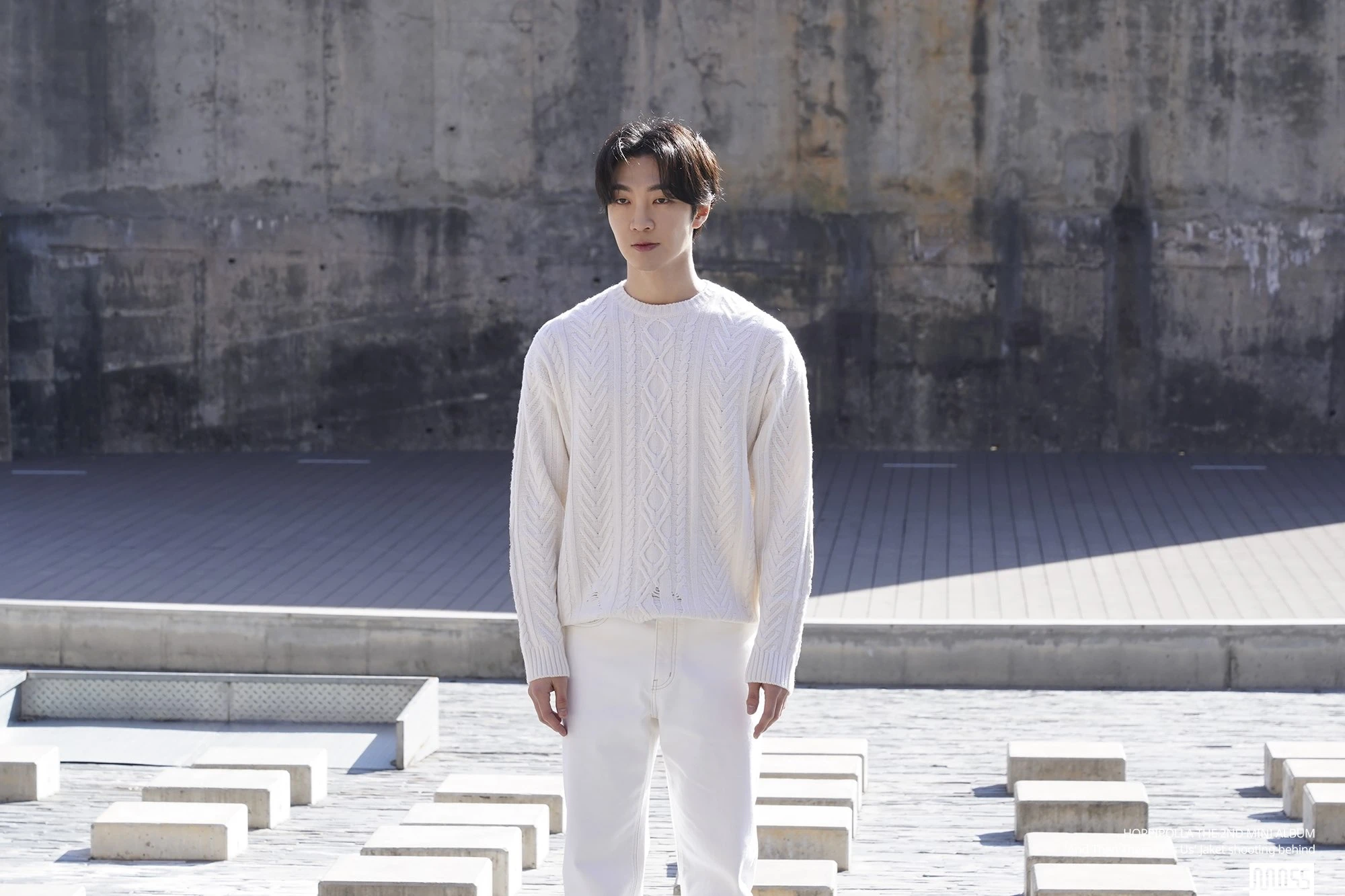 Hong Jinho