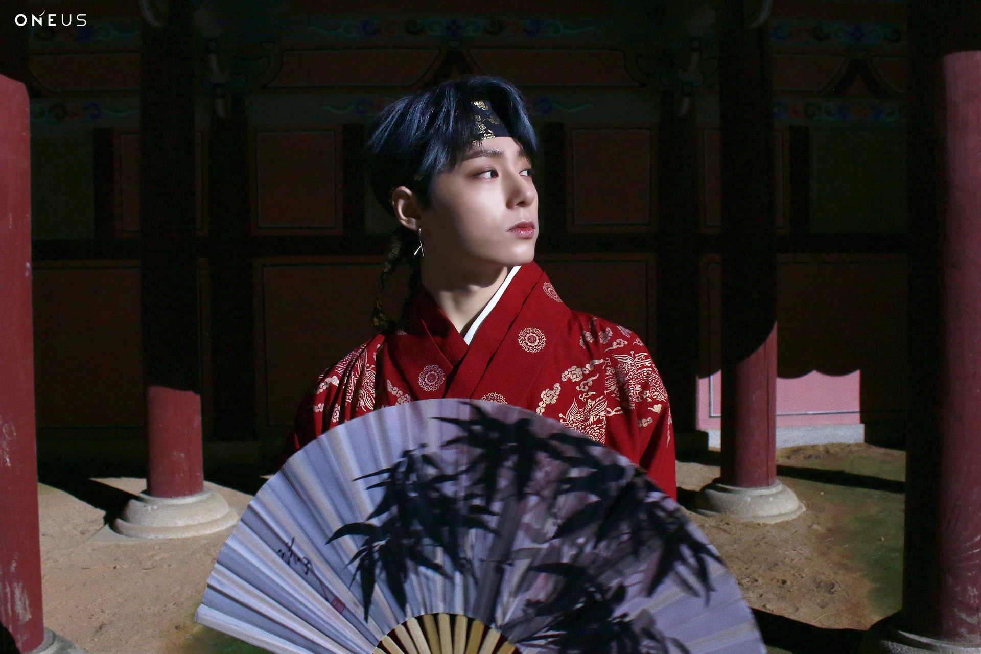Hwanwoong