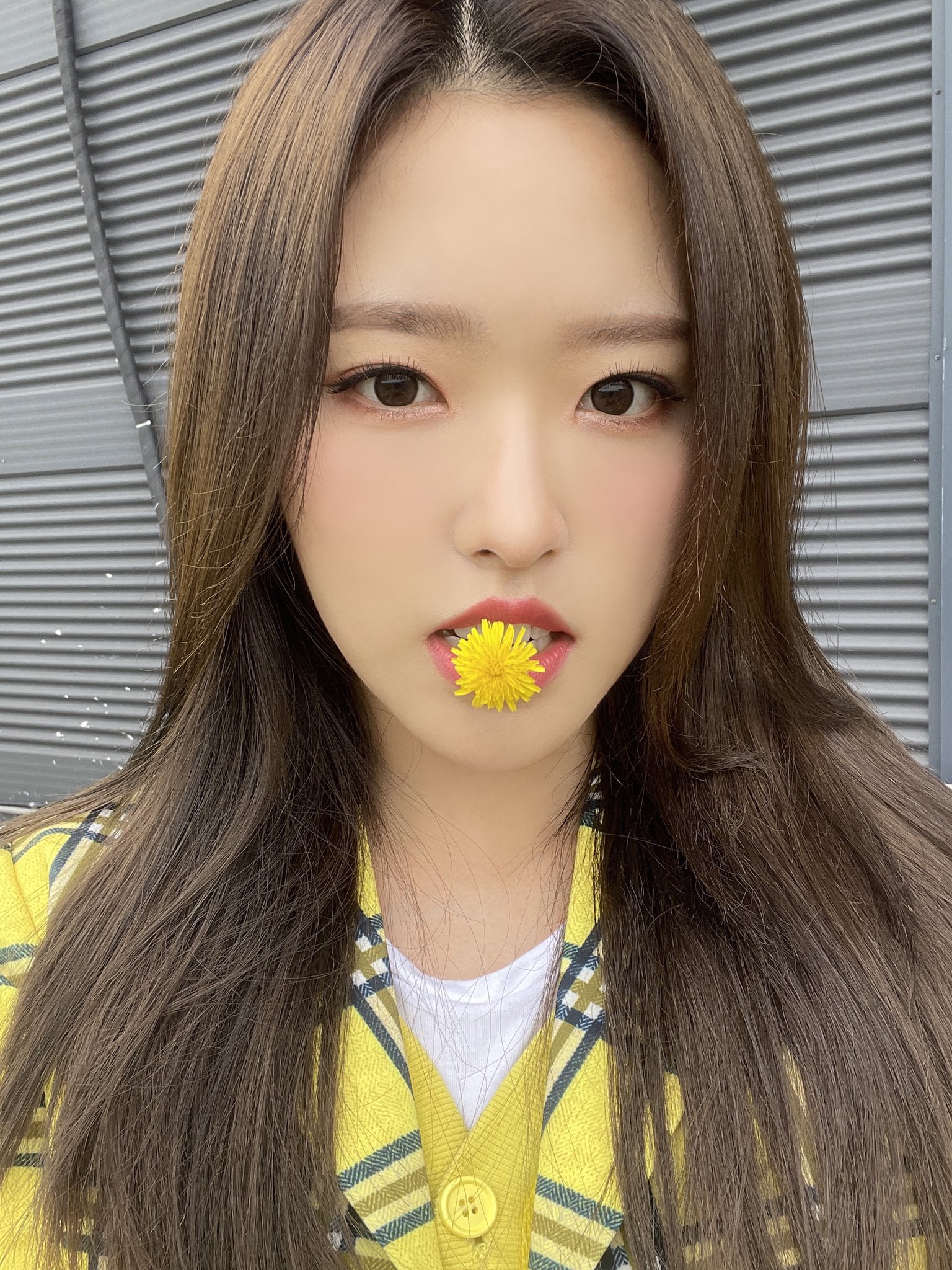 Olivia Hye