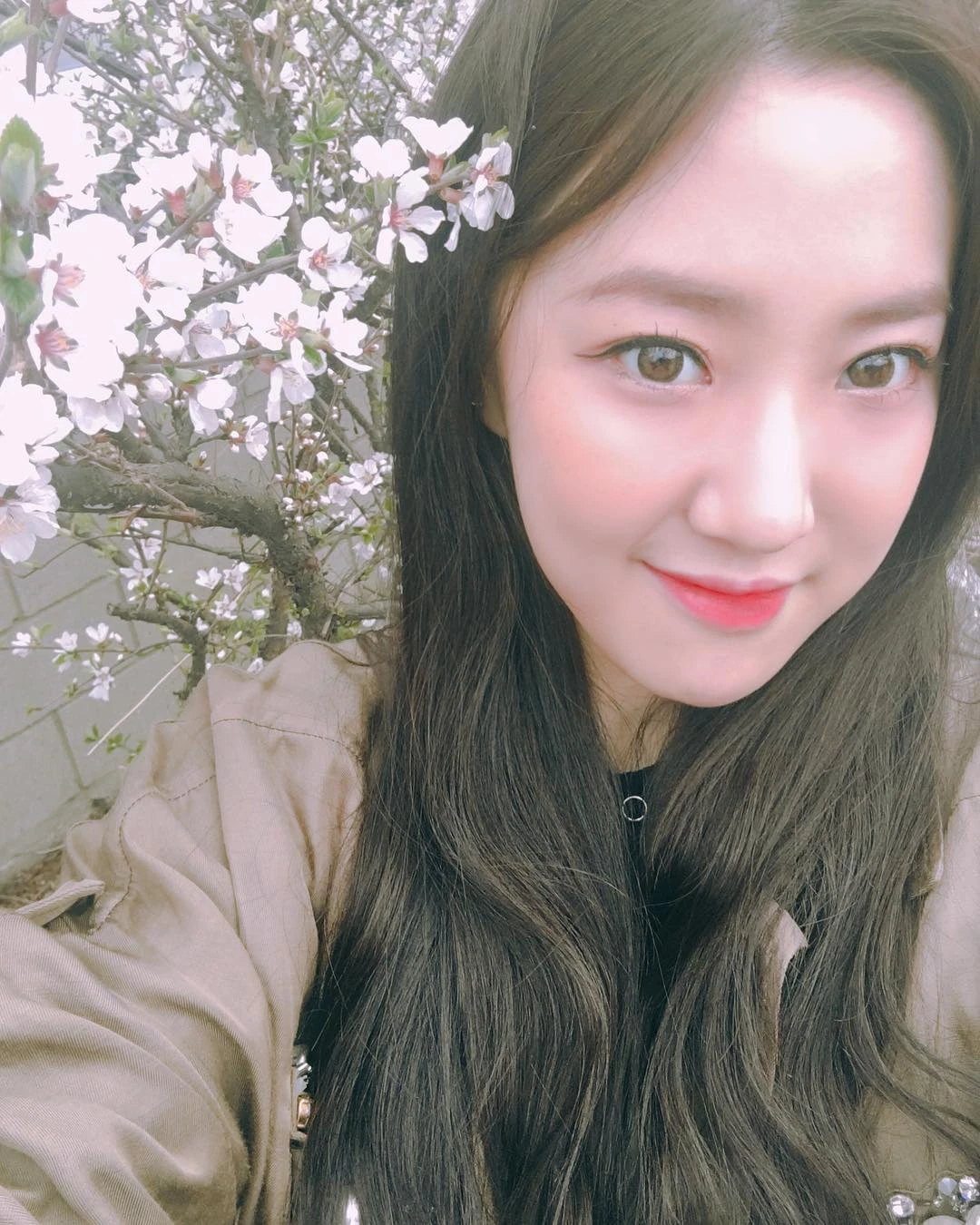 Haeri