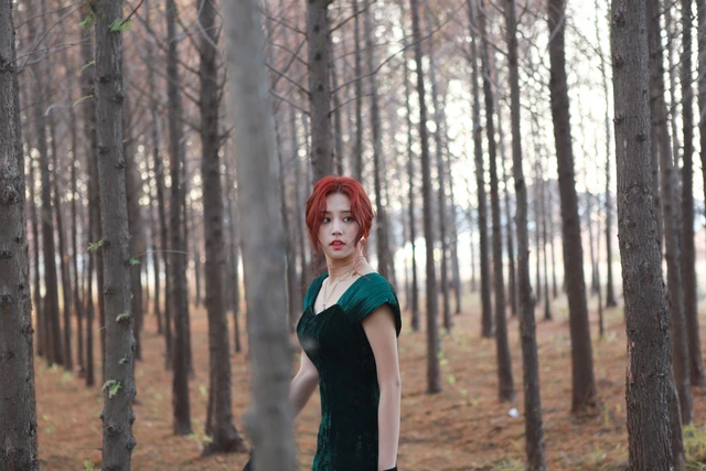 Solbin