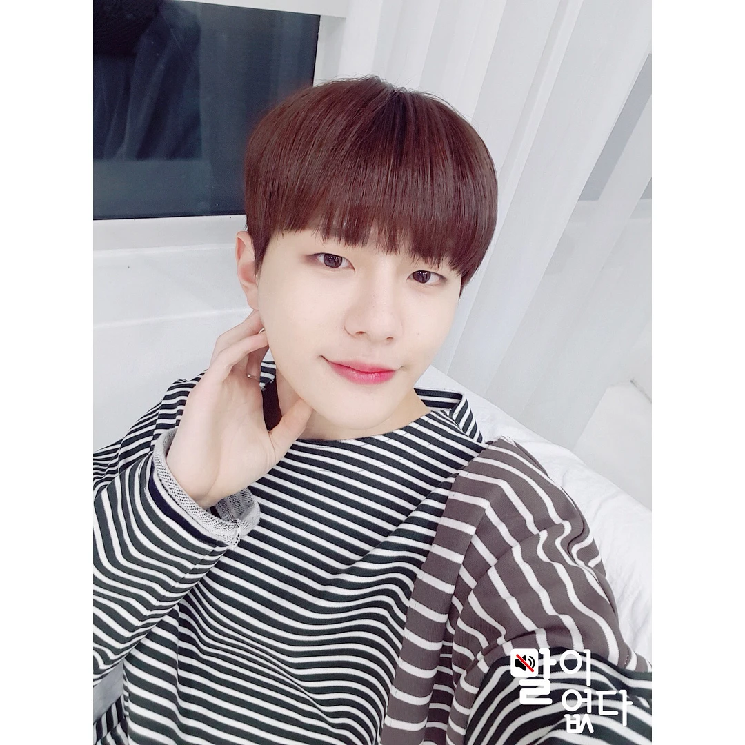 Bomin
