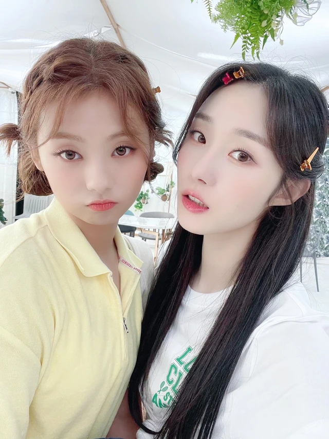 Chaesol