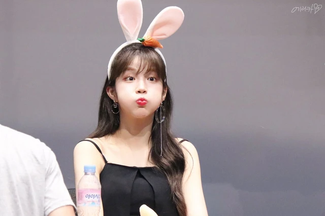 ZN