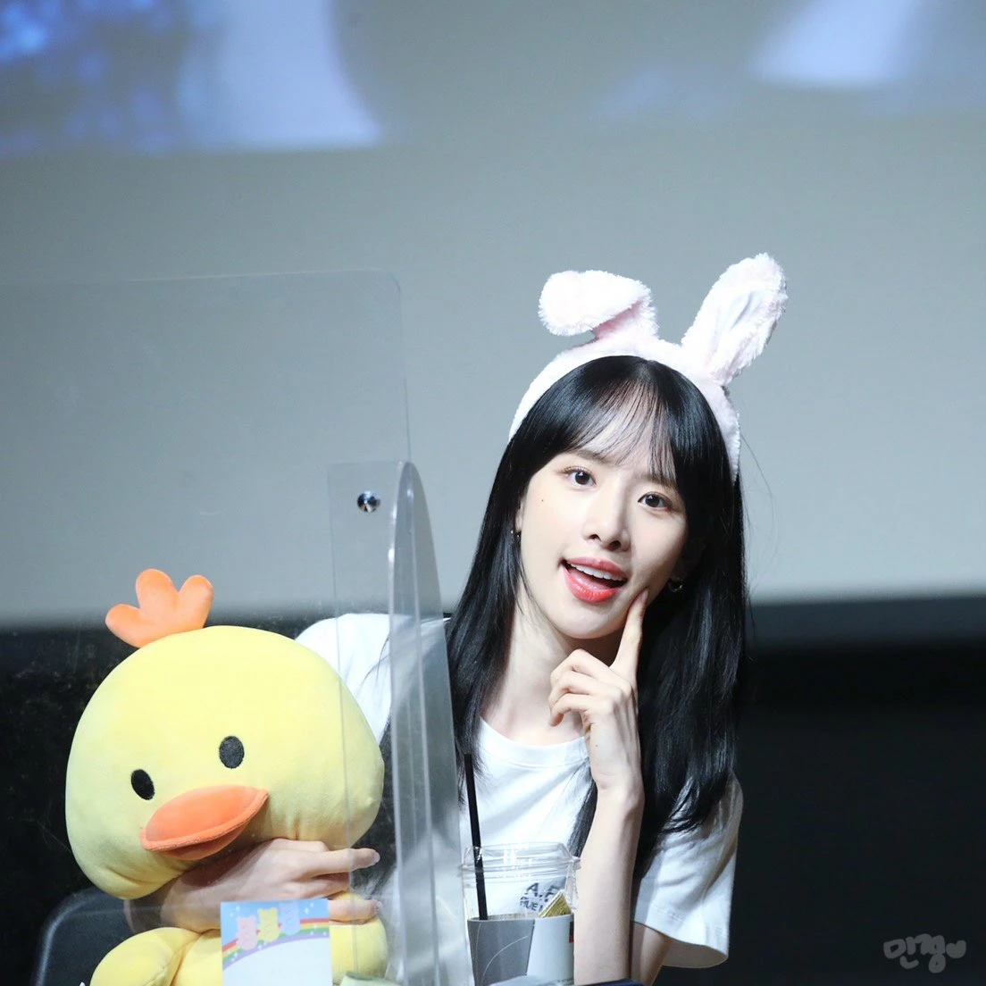 Bona