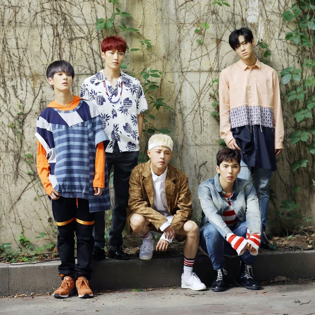 IMFACT