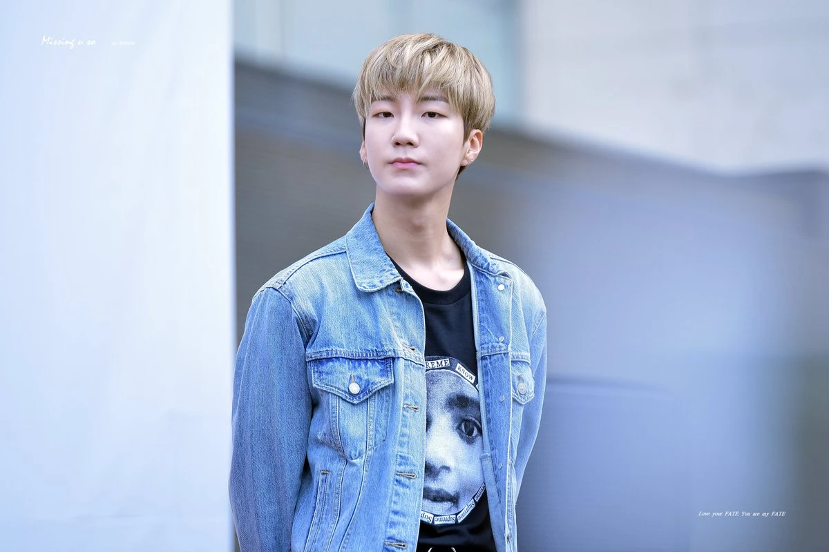 Hoony