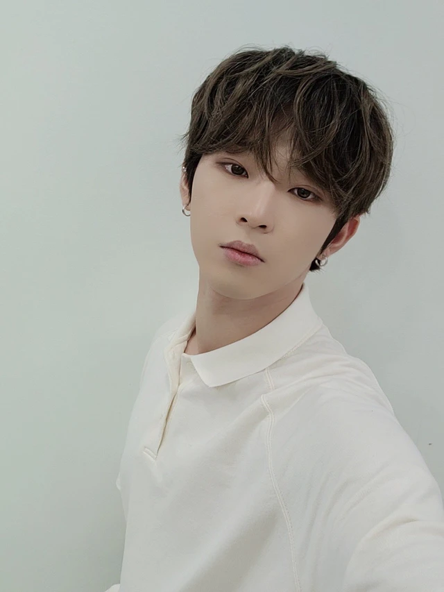Leedo