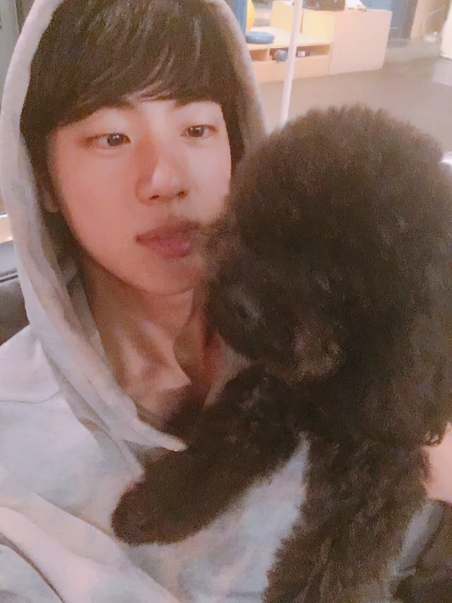 Jin