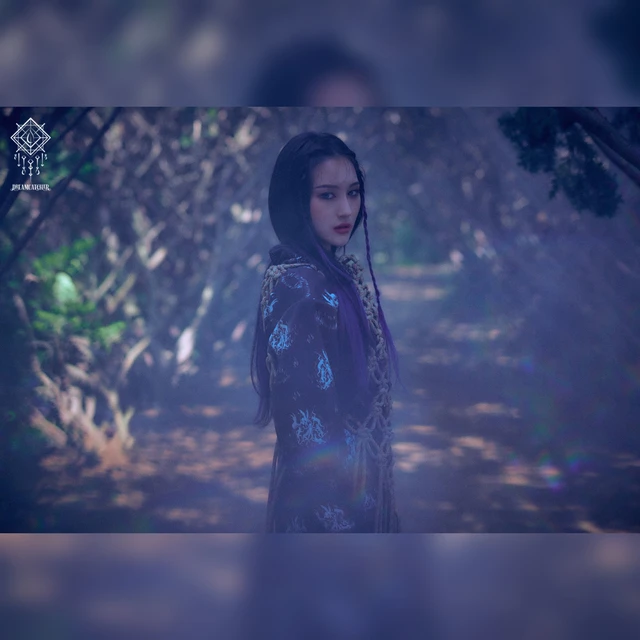 Dreamcatcher