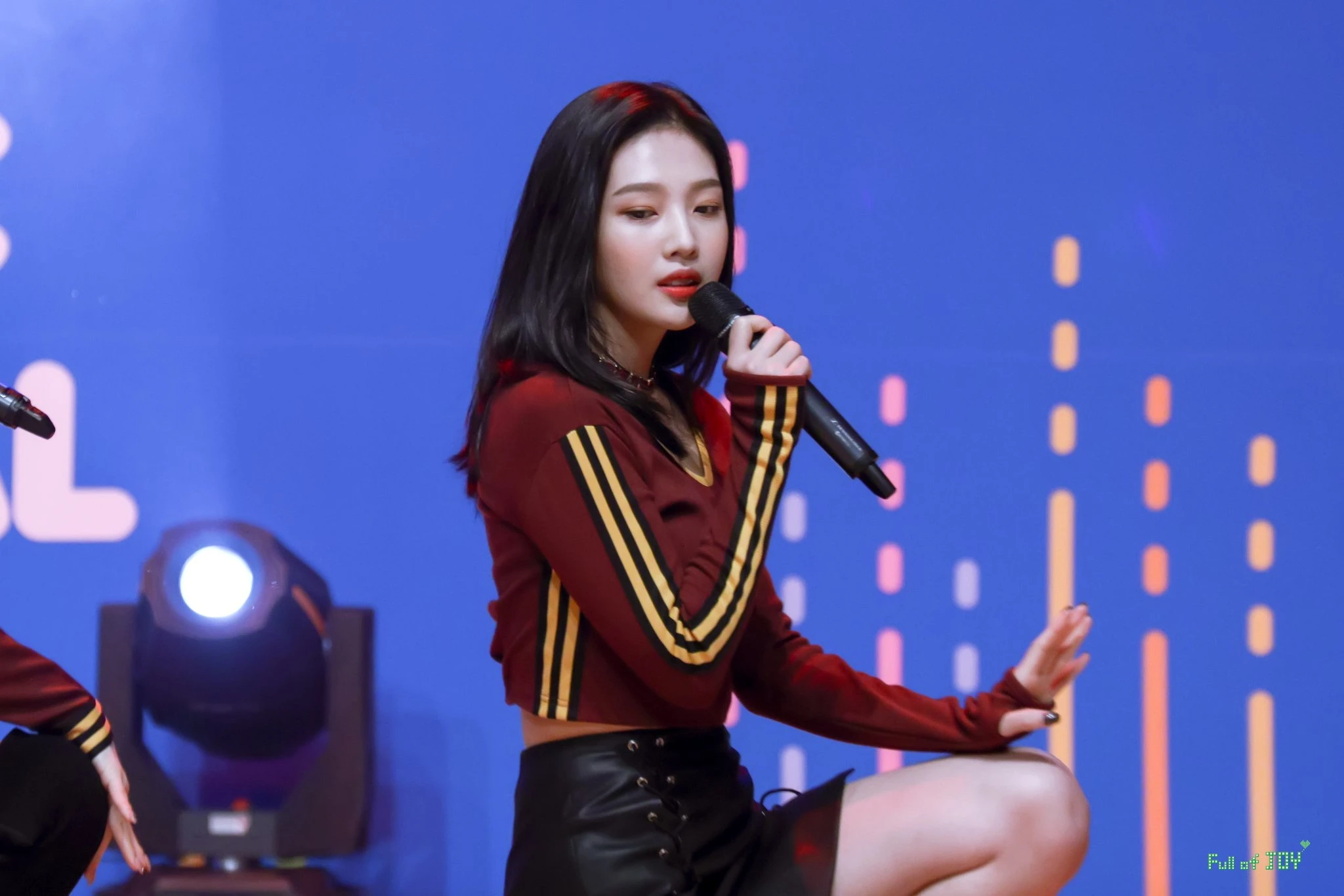 Joy