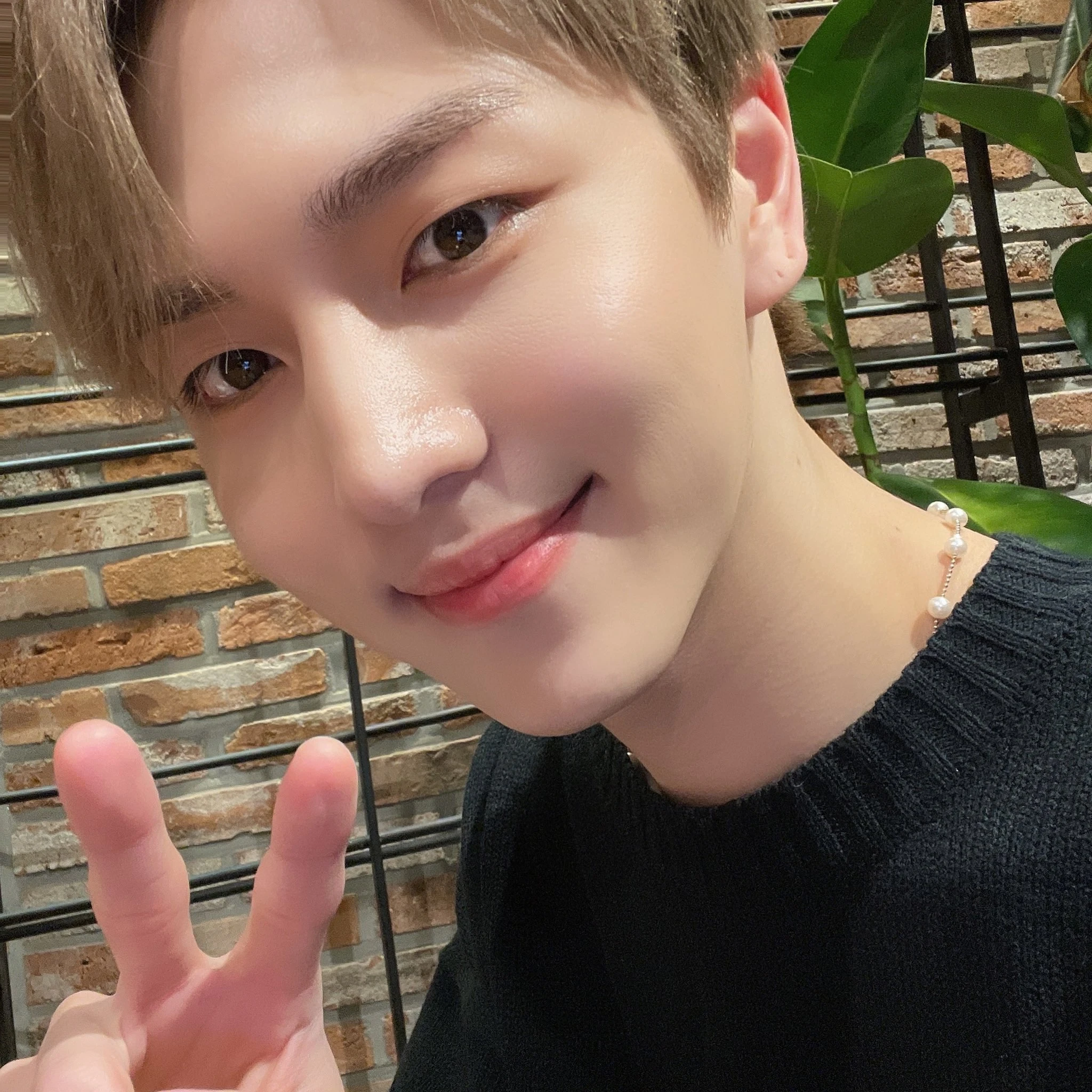 Kino