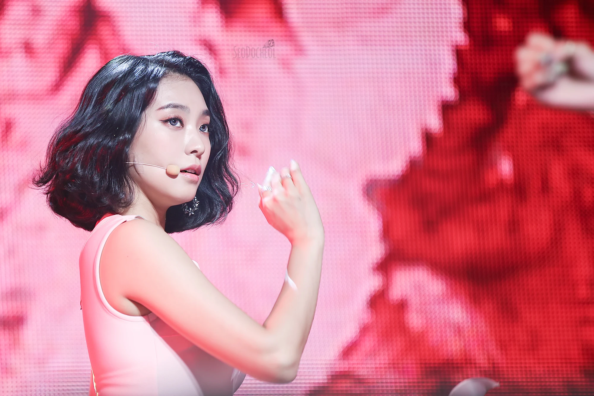 Bora