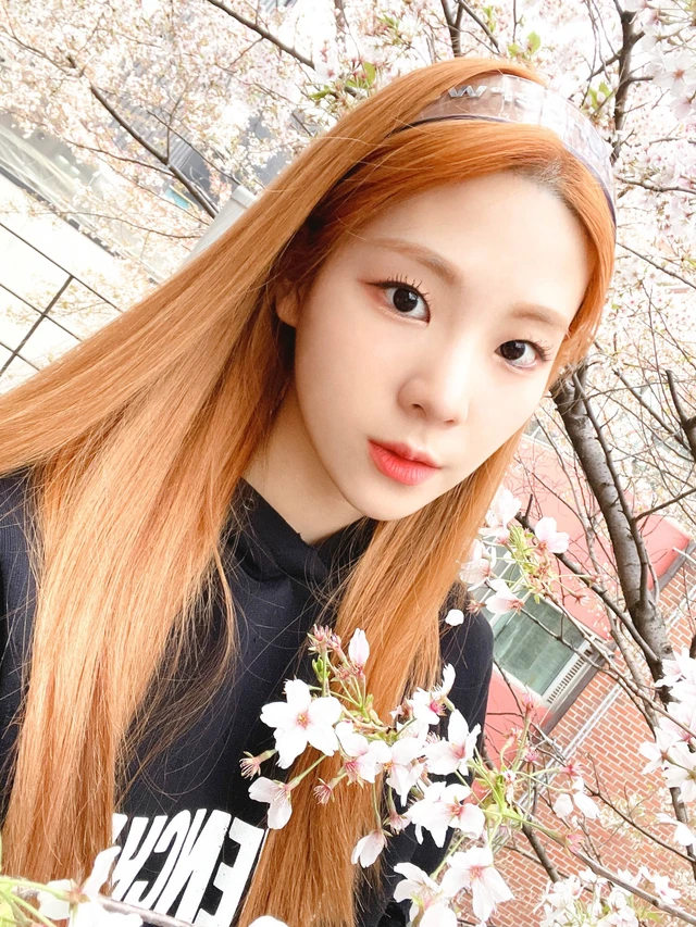 Seline