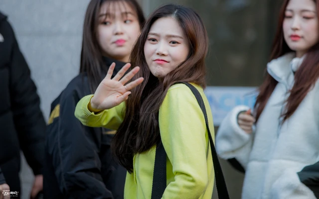 Arin