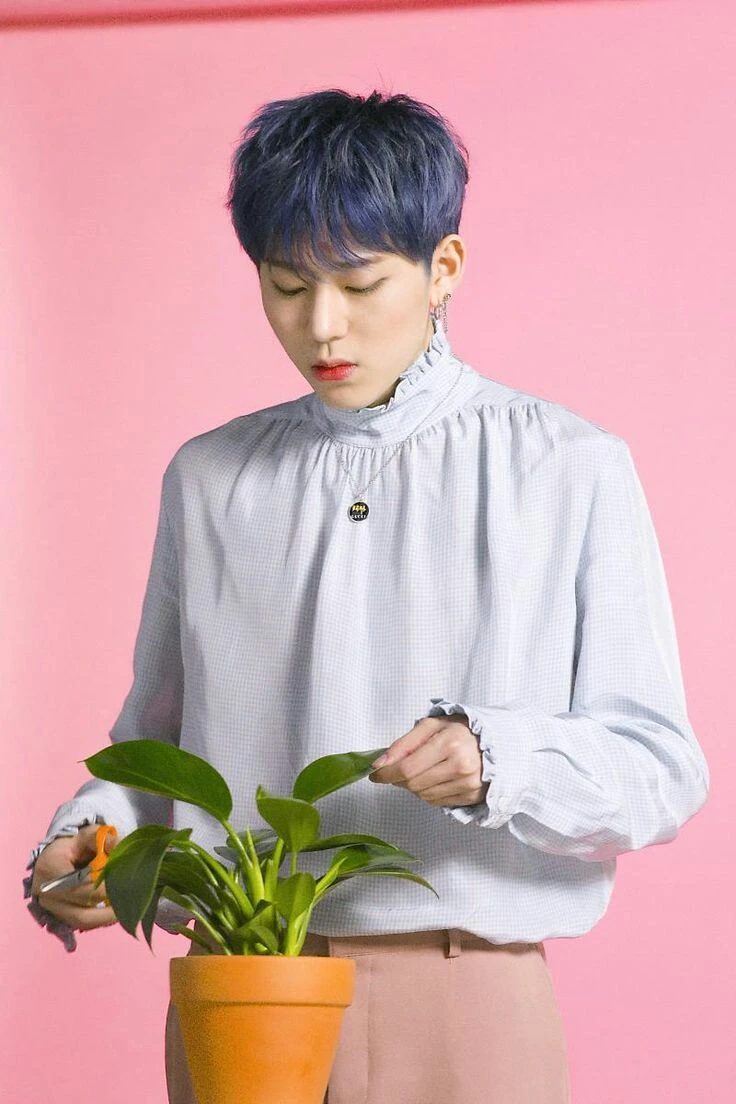 Zico