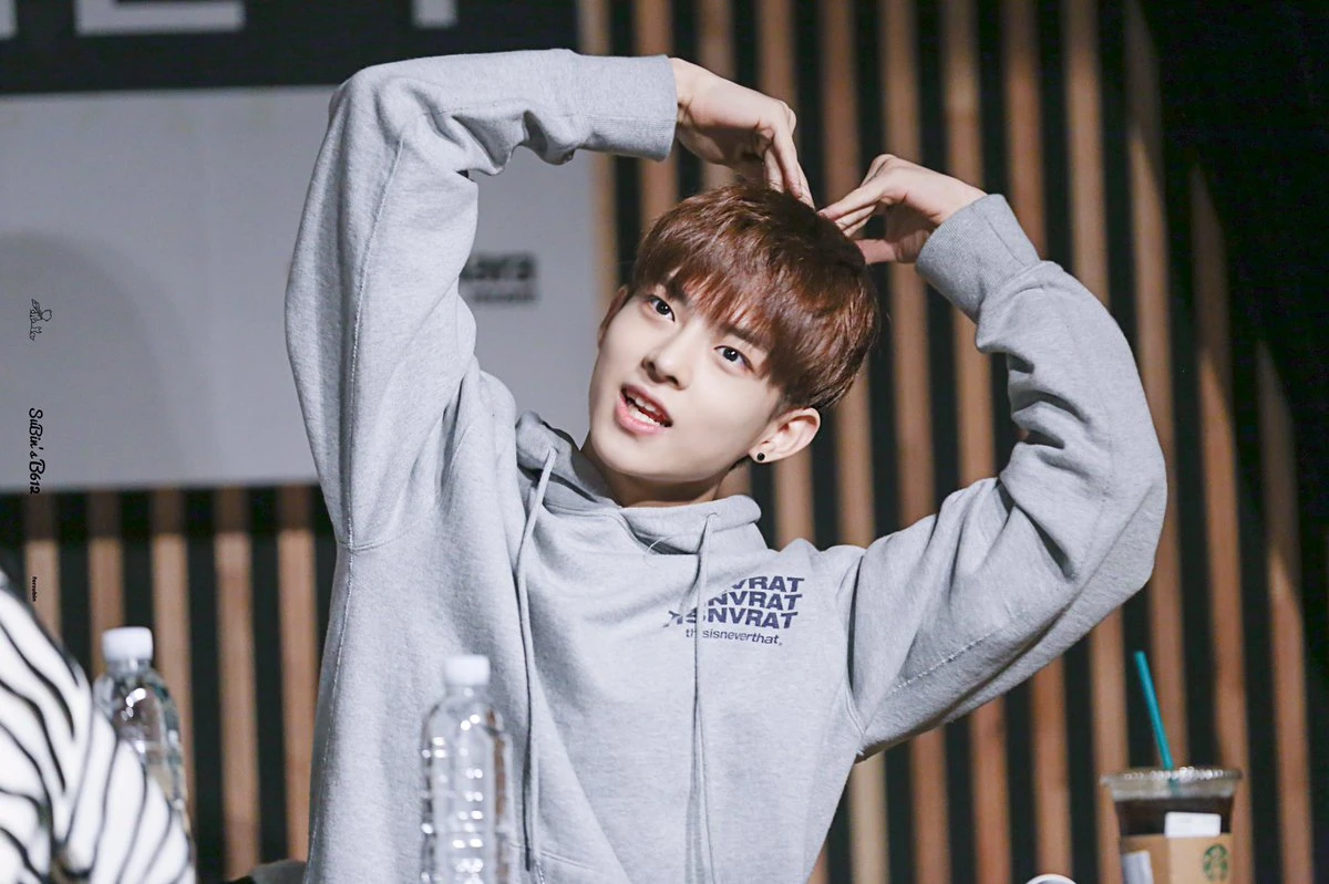 Subin