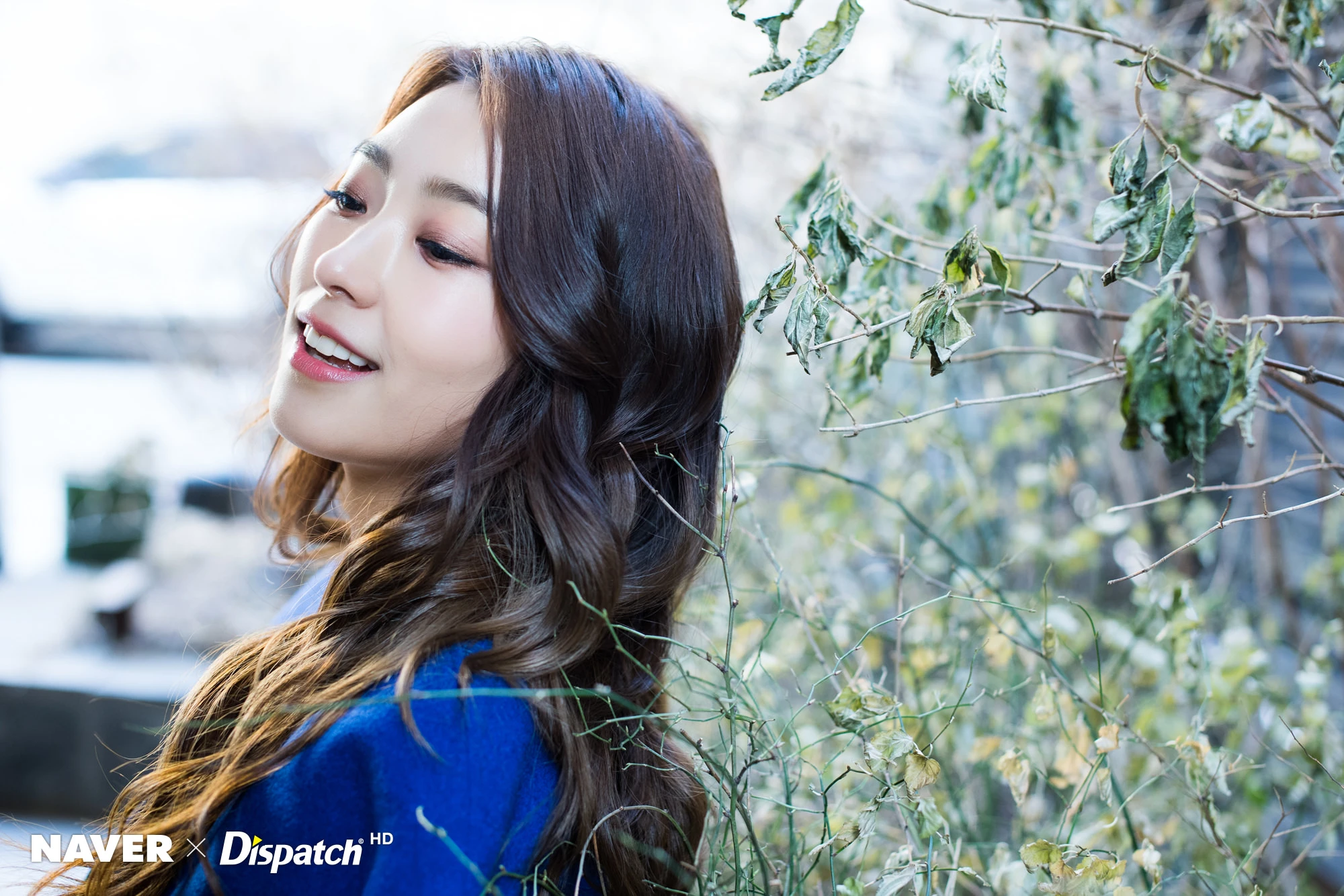 Bora